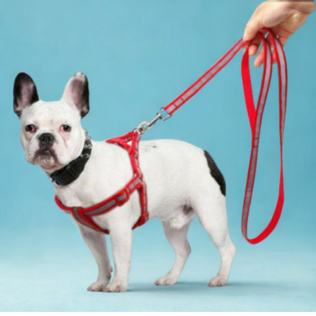 ARNÉS PARA MASCOTAS