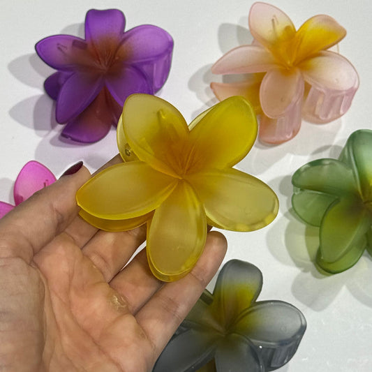 PINZA HAWAIANA COLORES MATE