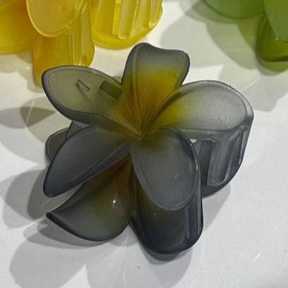 PINZA HAWAIANA COLORES MATE