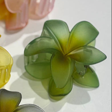 PINZA HAWAIANA COLORES MATE