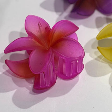 PINZA HAWAIANA COLORES MATE